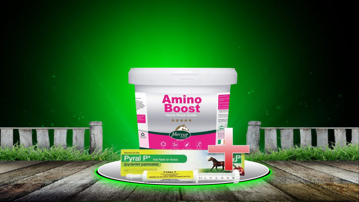 مکمل اسب آمینوبوست AMINO BOOST | کارمن شاپ | فروشگاه لوازم اسب و سوارکاری