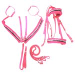 ست سركله گير و دستجلو و سينه بند تعليمى اسب - Image 2