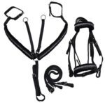 ست سركله گير و دستجلو و سينه بند تعليمى اسب - Image 4