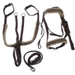 ست سركله گير و دستجلو و سينه بند تعليمى اسب - Image 3