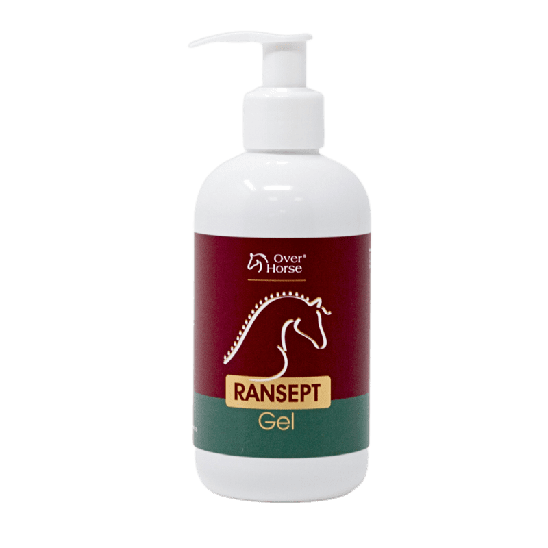 IMG_6158 ژل ترمیم کننده بافت آسیب دیده رانسپت اسب | Ranspet Gel over horse - Image 1