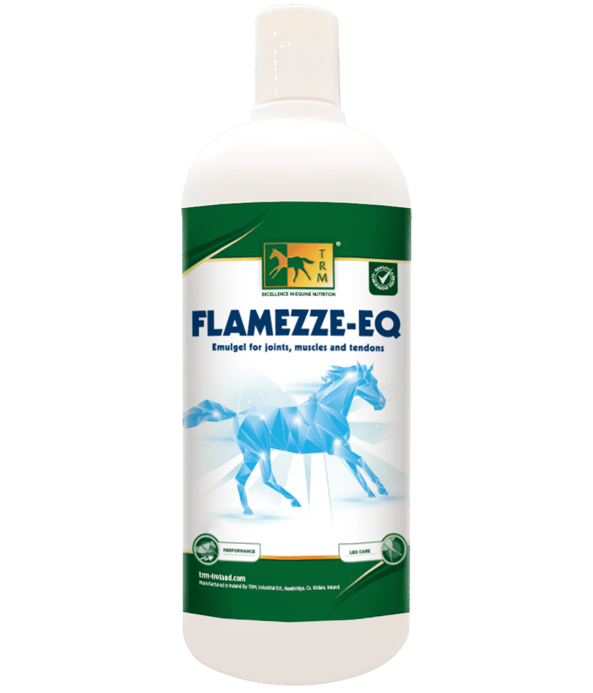 IMG_9048 FLAMEZZE-EQ TRM| امولژل مفاصل اسب تی آر ام - Image 1
