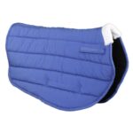 عرق گیر اسب