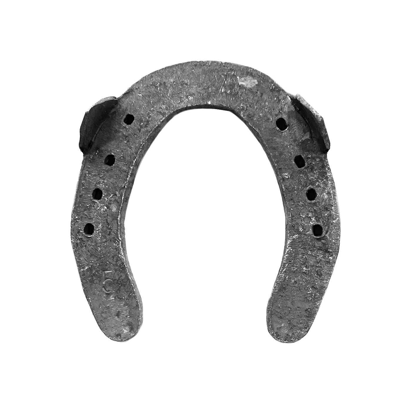 IMG_9474 نعل کدخدا | نعل ریخته گری اسب - Image 1